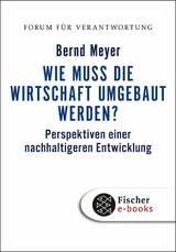 Wie muss die Wirtschaft umgebaut werden? - Bernd Meyer