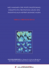 Mechanismen der Postconditioning-vermittelten Protektion gegen den endothelialen Reperfusionsschaden - Verena-Christiane Kratz