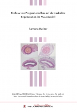 Einfluss von Progenitorzellen auf die vaskul&auml;re Regeneration im Mausmodell - Romana Hafner