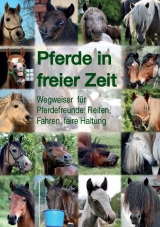 Pferde in freier Zeit