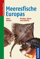 Die Meeresfische Europas - Bent J. Muus, Jorgen G. Nielsen