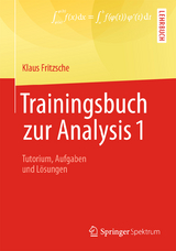Trainingsbuch zur Analysis 1 - Klaus Fritzsche