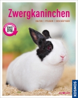 Zwergkaninchen - Angela Beck