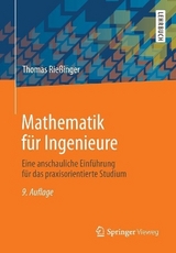 Mathematik für Ingenieure - Thomas Rießinger