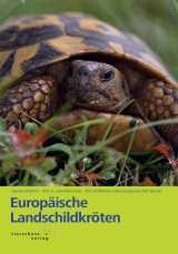 Europ&auml;ische Landschildkr&ouml;ten