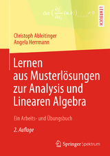 Lernen aus Musterl&ouml;sungen zur Analysis und Linearen Algebra - Christoph Ableitinger, Angela Herrmann
