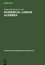 Numerical Linear Algebra - 