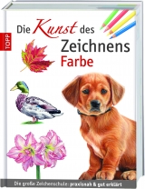 Die Kunst des Zeichnens Farbe - Walter Foster