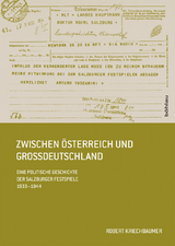 Zwischen &Ouml;sterreich und Gro&szlig;deutschland - Robert Kriechbaumer
