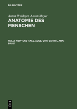 Kopf und Hals, Auge, Ohr, Gehirn, Arm, Brust - Anton Waldeyer, Anton Mayet