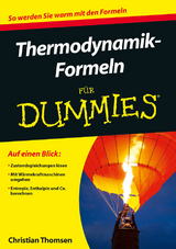 Thermodynamik-Formeln f&uuml;r Dummies - Christian Thomsen