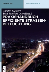 Praxishandbuch effiziente Stra&szlig;enbeleuchtung - 