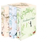 Nach dem Sommer/Ruht das Licht/In deinen Augen - Maggie Stiefvater