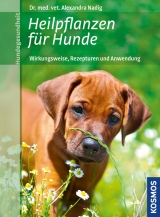 Heilpflanzen f&uuml;r Hunde - Alexandra Nadig