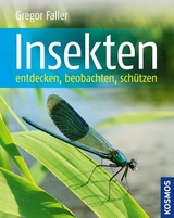 Insekten - Gregor Faller