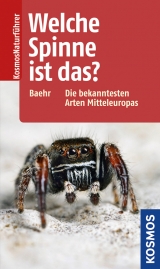 Welche Spinne ist das? - Martin Baehr