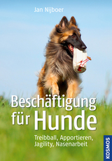 Besch&auml;ftigung f&uuml;r Hunde - Jan Nijboer
