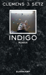 Indigo - Clemens J. Setz
