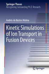 Kinetic Simulations of Ion Transport in Fusion Devices - Andr&eacute;s de Bustos Molina
