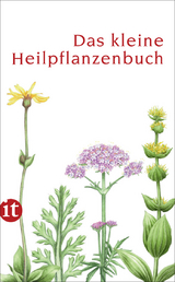 Das kleine Heilpflanzenbuch - Catrin Cohnen