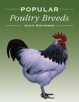 Popular Poultry Breeds -  David Scrivener