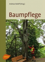 Baumpflege - Roloff, Andreas