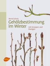 Geh&ouml;lzbestimmung im Winter - Bernd Schulz