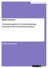 Zusammengefasste Formelsammlung. Statistik für Wirtschaftsinformatiker -  Martin Schlesier