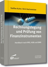 Rechnungslegung und Pr&uuml;fung von Finanzinstrumenten - Steffen Kuhn, Dirk Hachmeister