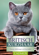 Britisch Kurzhaar - Jana Weichelt