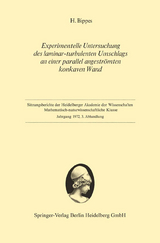 Experimentelle Untersuchung des laminar-turbulenten Umschlags an einer parallel angestr&ouml;mten konkaven Wand - Hans Bippes