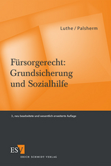 F&uuml;rsorgerecht: Grundsicherung und Sozialhilfe - Ernst-Wilhelm Luthe, Ingo Palsherm