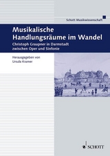 Musikalische Handlungsr&auml;ume im Wandel - 