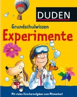 Grundschulwissen - Experimente - Braun, Christina
