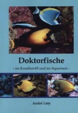 Doktorfische im Korallenriff und im Aquarium - Andr&egrave; Luty