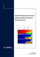 Aktive Beeinflussung der laminaren Ablösung mithilfe pneumatischer Wirbelgeneratoren - Jerrit Dähnert