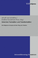Zwischen Formation und Transformation - 