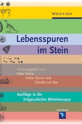 Lebensspuren im Stein - 