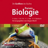 Purves Biologie Bild-DVD - David Sadava, H. Craig Heller, David Hillis, May R. Berenbaum