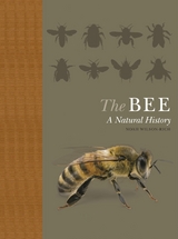 The Bee - Noah Wilson-Rich