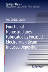 Functional Nanostructures Fabricated by Focused Electron/Ion Beam Induced Deposition - Rosa C&oacute;rdoba Castillo