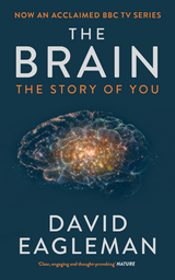 The Brain - David Eagleman