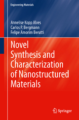 Novel Synthesis and Characterization of Nanostructured Materials - Annelise Kopp Alves, Carlos P. Bergmann, Felipe Amorim Berutti