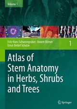 Atlas of Stem Anatomy in Herbs, Shrubs and Trees - Fritz Hans Schweingruber, Annett B&ouml;rner, Ernst-Detlef Schulze