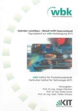 Hybrider Leichtbau &ndash; Metall trifft Faserverbund - 