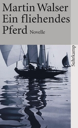 Ein fliehendes Pferd -  Martin Walser