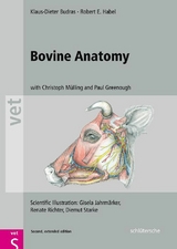 Bovine Anatomy - Klaus-Dieter Budras, Robert E. Habel