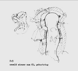 2 : 3 - Oswald Wiener