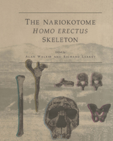 The Nariokotome Homo Erectus Skeleton - 