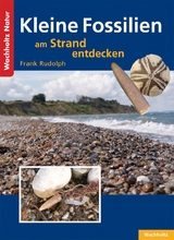 Kleine Fossilien am Strand entdecken - Frank Rudolph